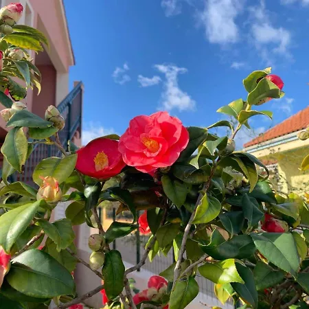 Melissani House Casa de Férias Karavomylos
